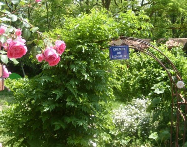 La Chambre D'Hote Au Gre Du Temps Montlaur  Экстерьер фото
